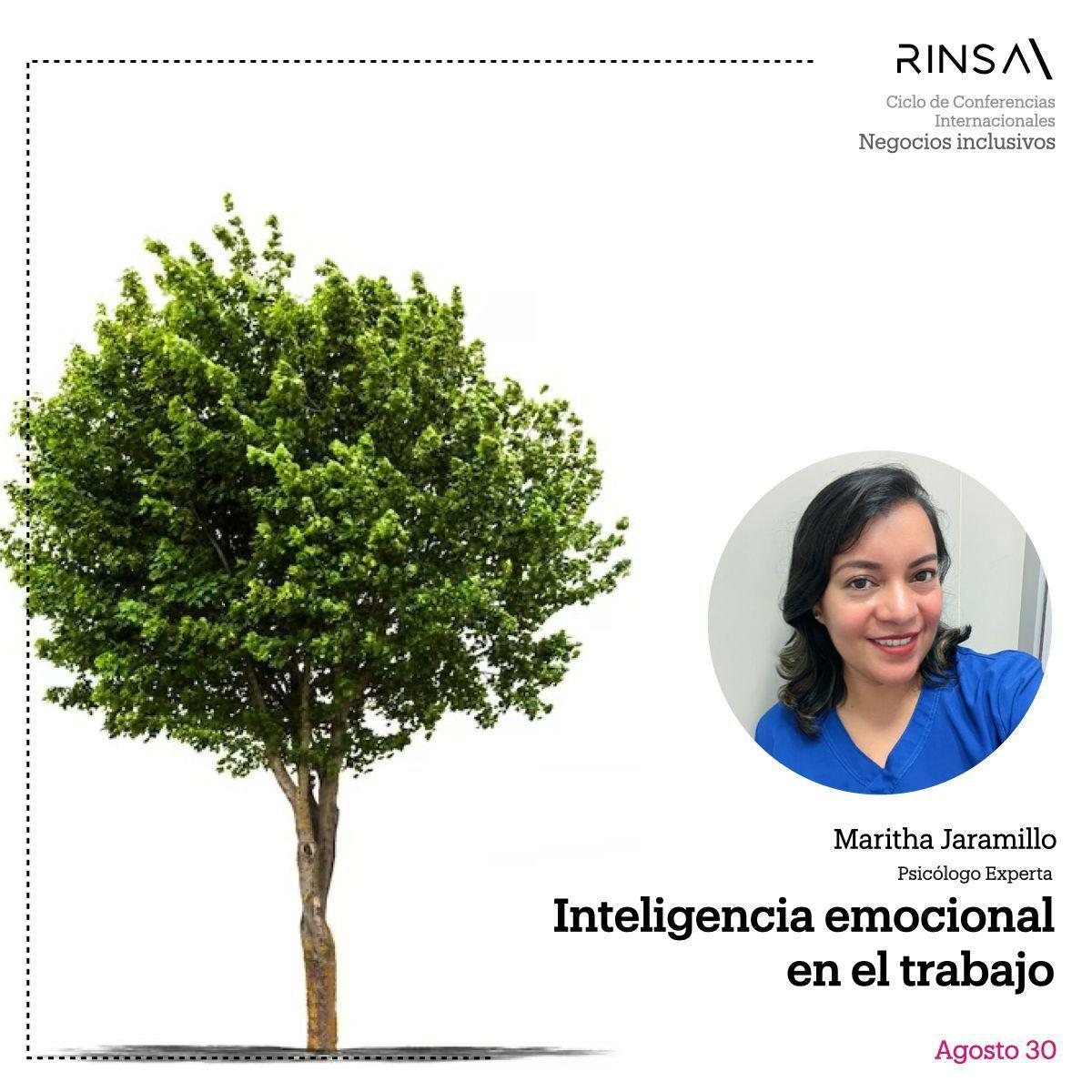 Afiche del webinar
